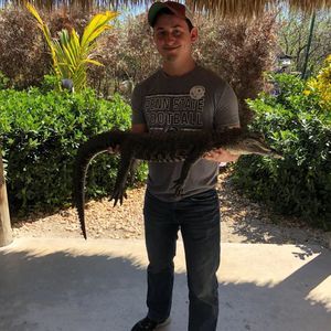 Meet your Posher, John